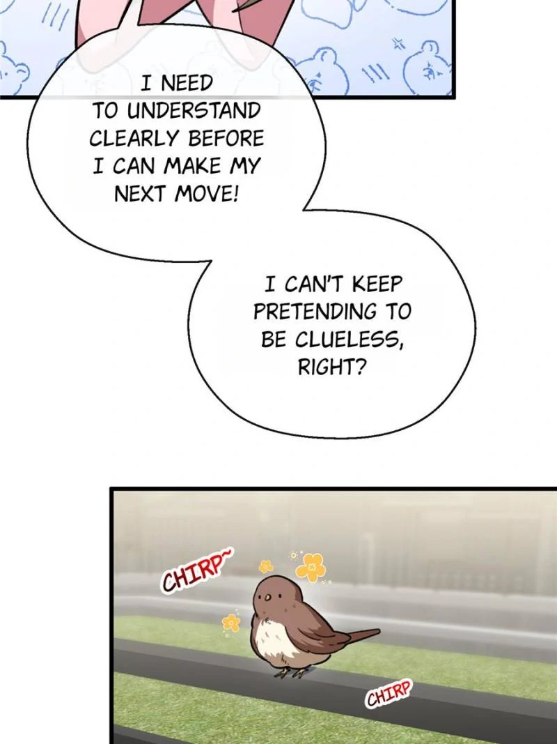 80676561 800 1067 62454